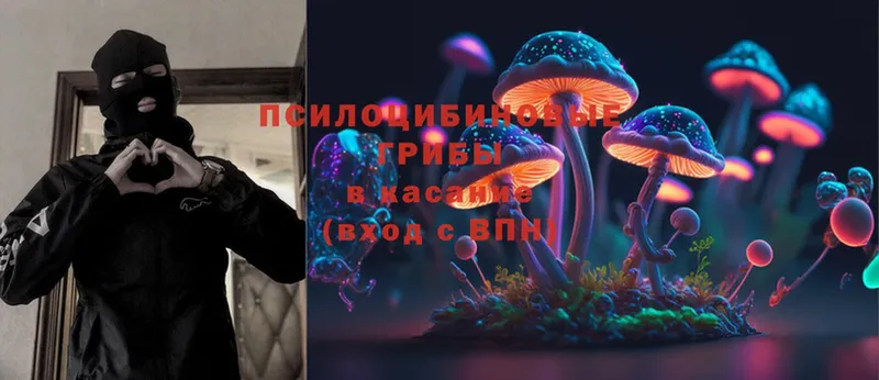 где купить наркоту  Козьмодемьянск  Псилоцибиновые грибы MAGIC MUSHROOMS 