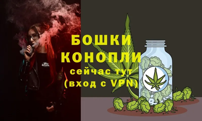 Бошки марихуана THC 21%  Козьмодемьянск 